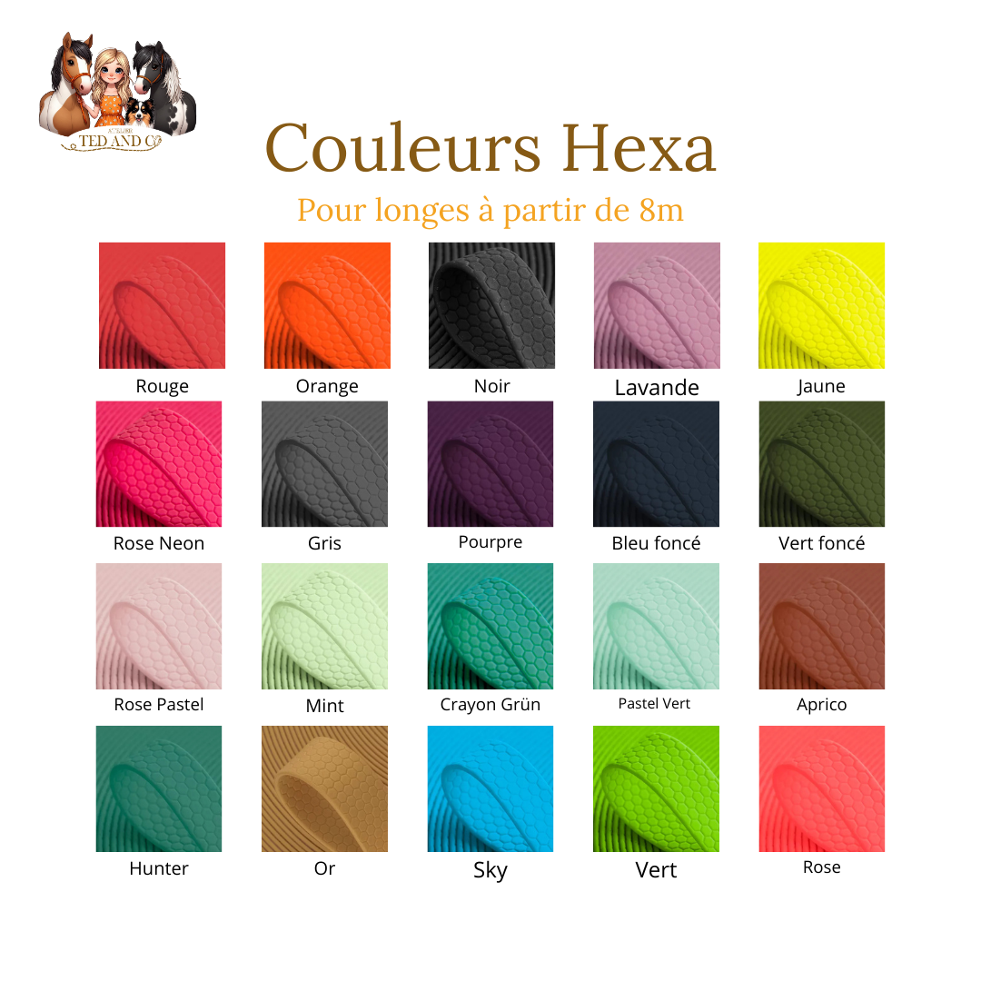 Longe Hexa – Image 4
