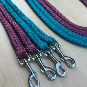 Rênes basiques