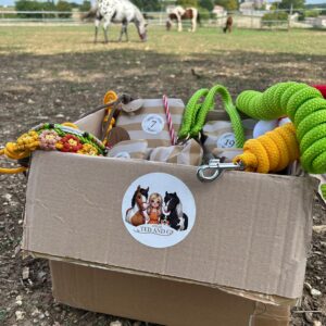 Calendrier de l&rsquo;Avent – Cheval