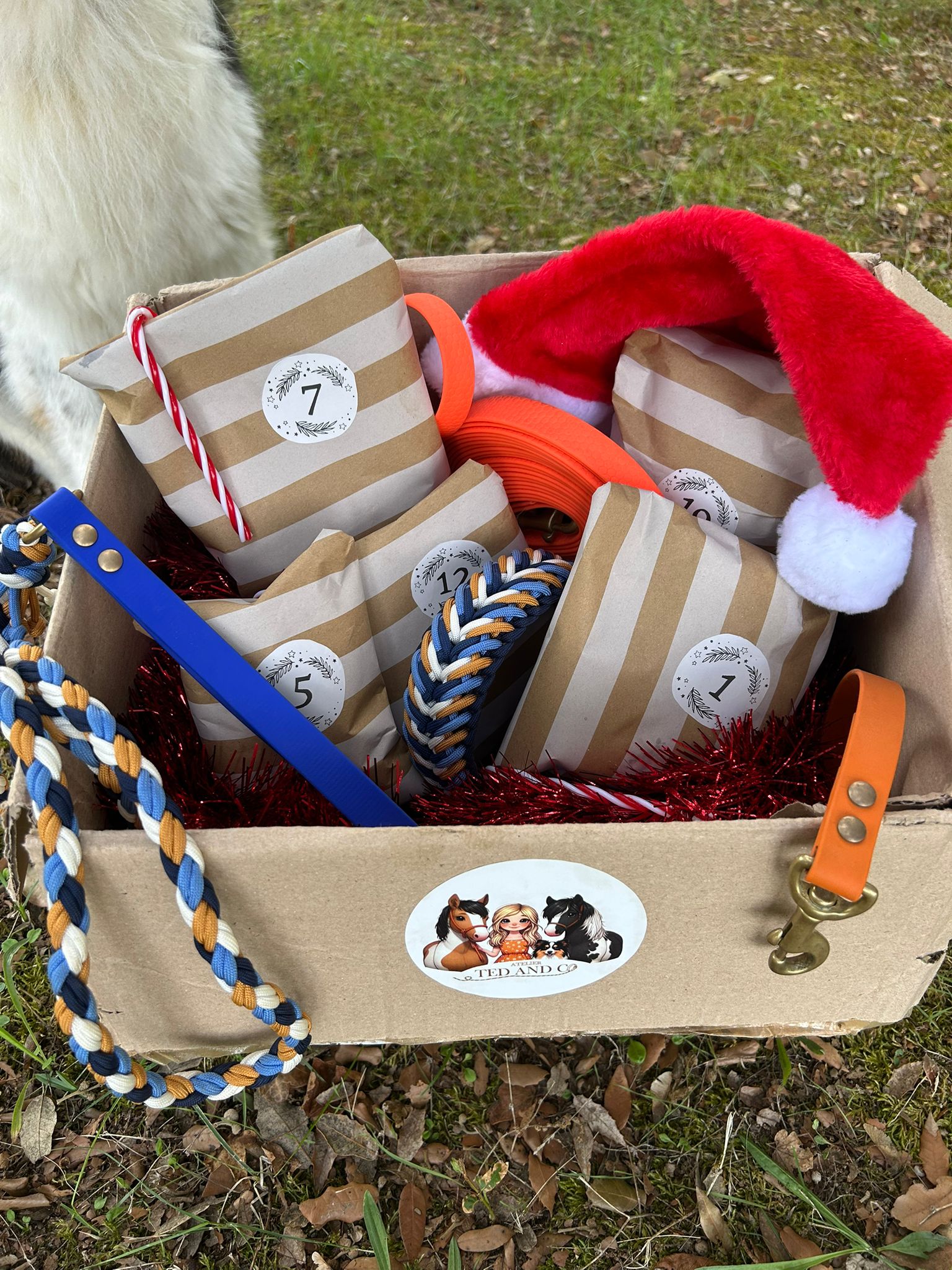 Calendrier de l'Avent - Chien – Image 2