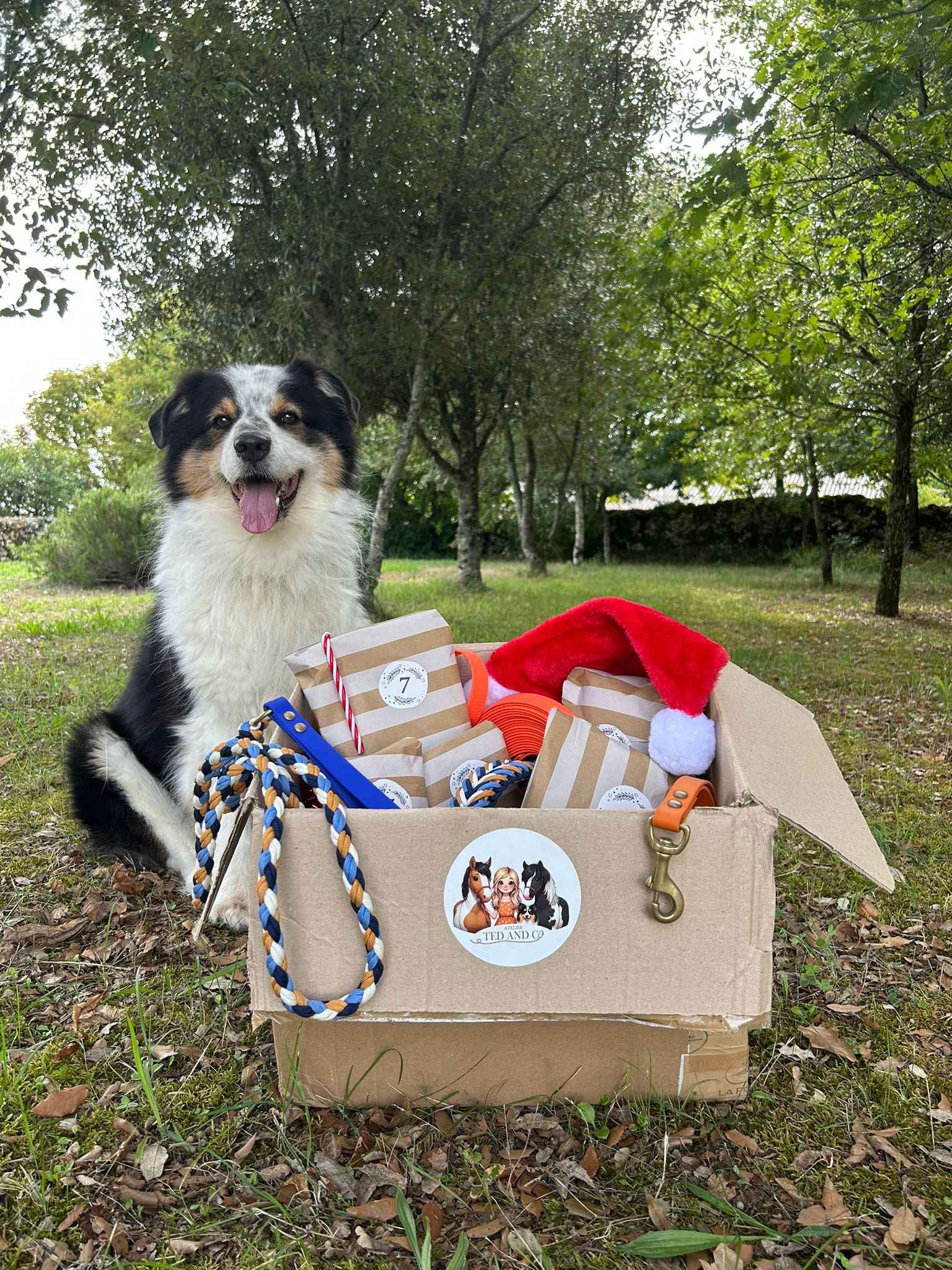 Calendrier de l'Avent - Chien – Image 3