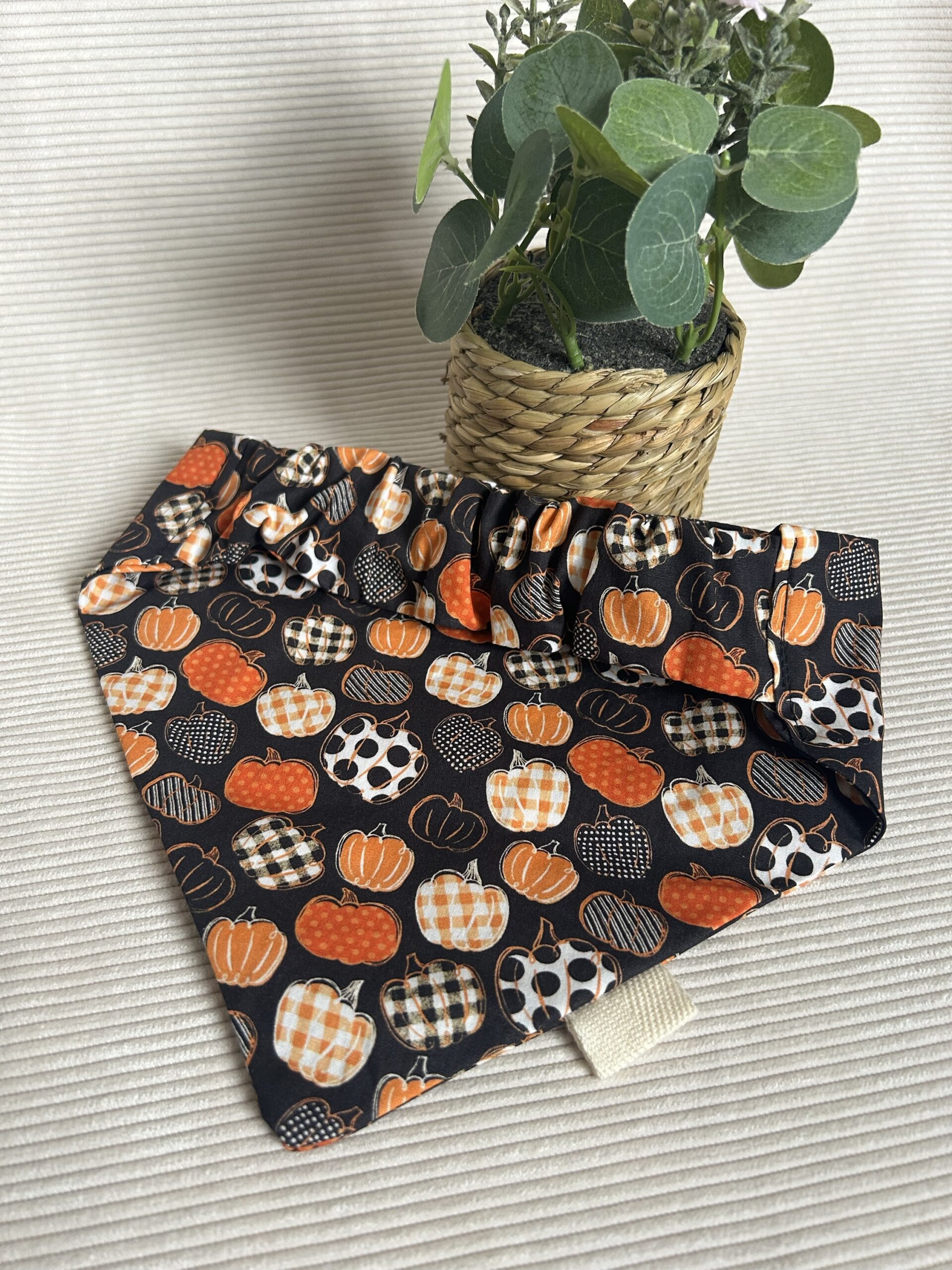 Bandana citrouilles – Image 2